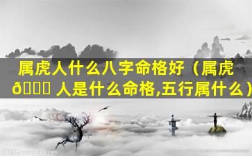 属虎人什么八字命格好（属虎 🐝 人是什么命格,五行属什么）